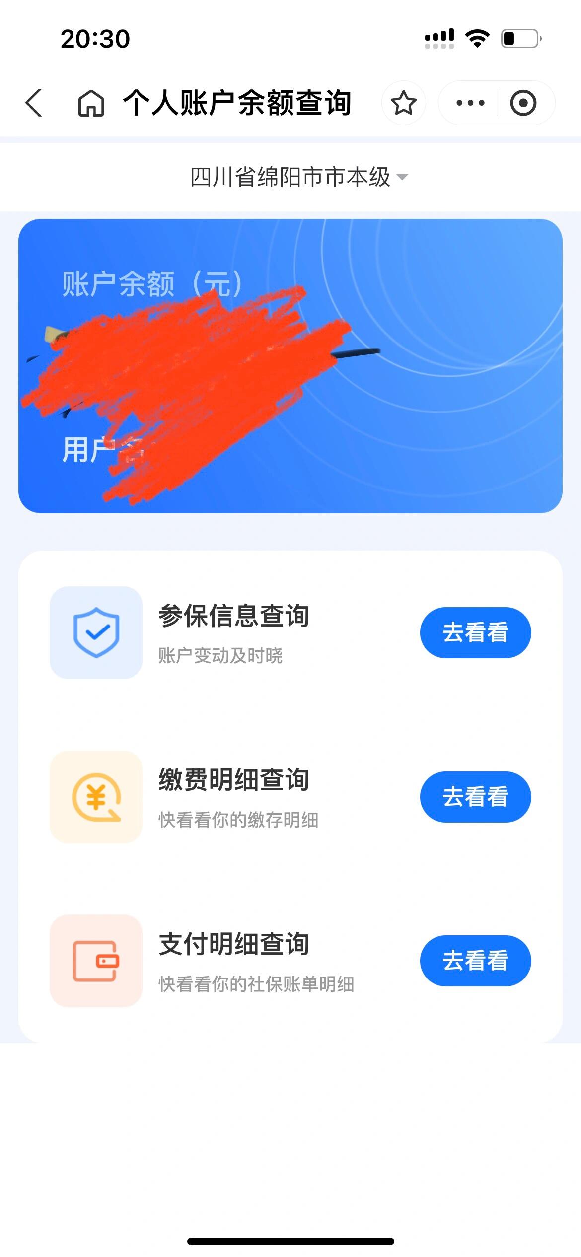 金湖最新已缴费却查不到医保余额方法分析(最方便真实的金湖为什么医保交费后查不到缴费的账单方法)